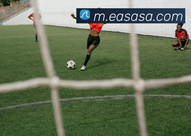 mksports官网登录平台生态图