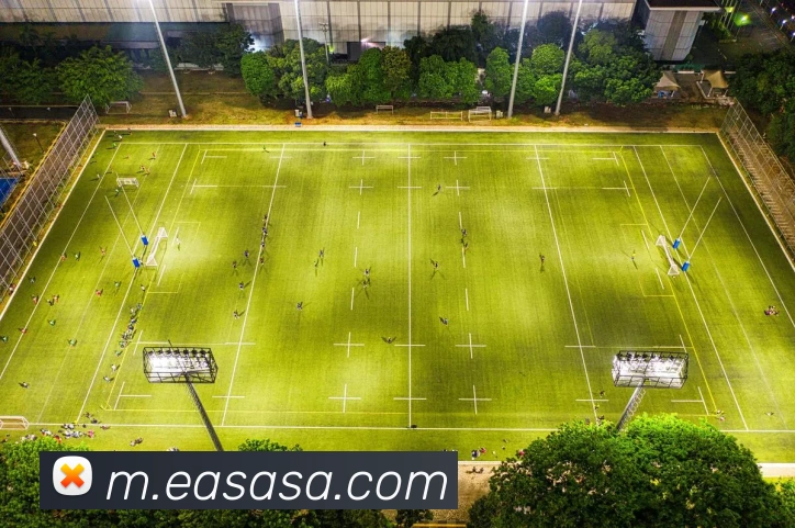 mksports官网登录APP 封面图