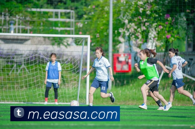 数据防护可视化